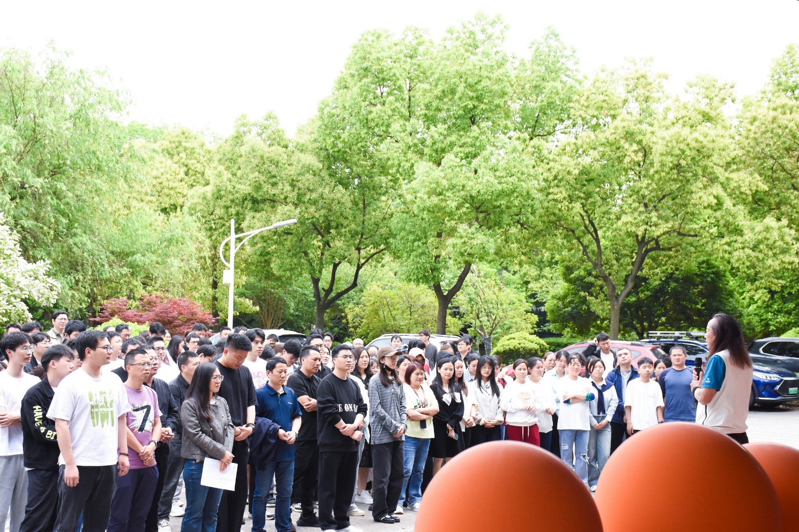 1745832736184089D605.jpg 1745832736184089D605.jpg